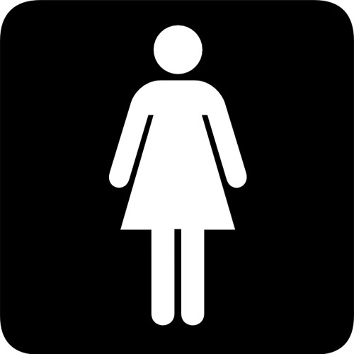 Arkansas, studentesse transgender possono accedere alla toilette delle donne  GLBT News 