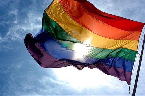 Nuova Delhi: il primo Gay Pride dopo la depenalizzazione dell'omosessualità Cultura Gay 