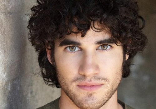 Glee 2, Darren Criss non è gay Icone Gay Televisione Gay 