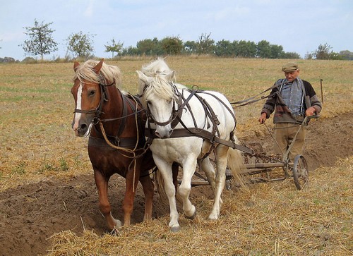 UK: helpline per agricoltori gay Cultura Gay GLBT News 