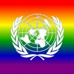 Onu approva una risoluzione per la parità dei diritti Cultura Gay 