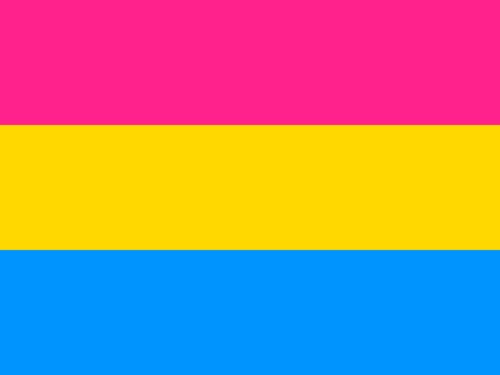 Bandiera orgoglio pansessuale