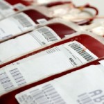 Donare il sangue è vietato per i gay anche in Italia? Omofobia 
