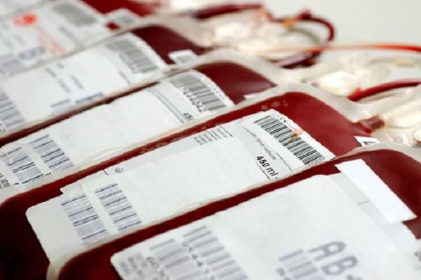 donare sangue gay vietato italia